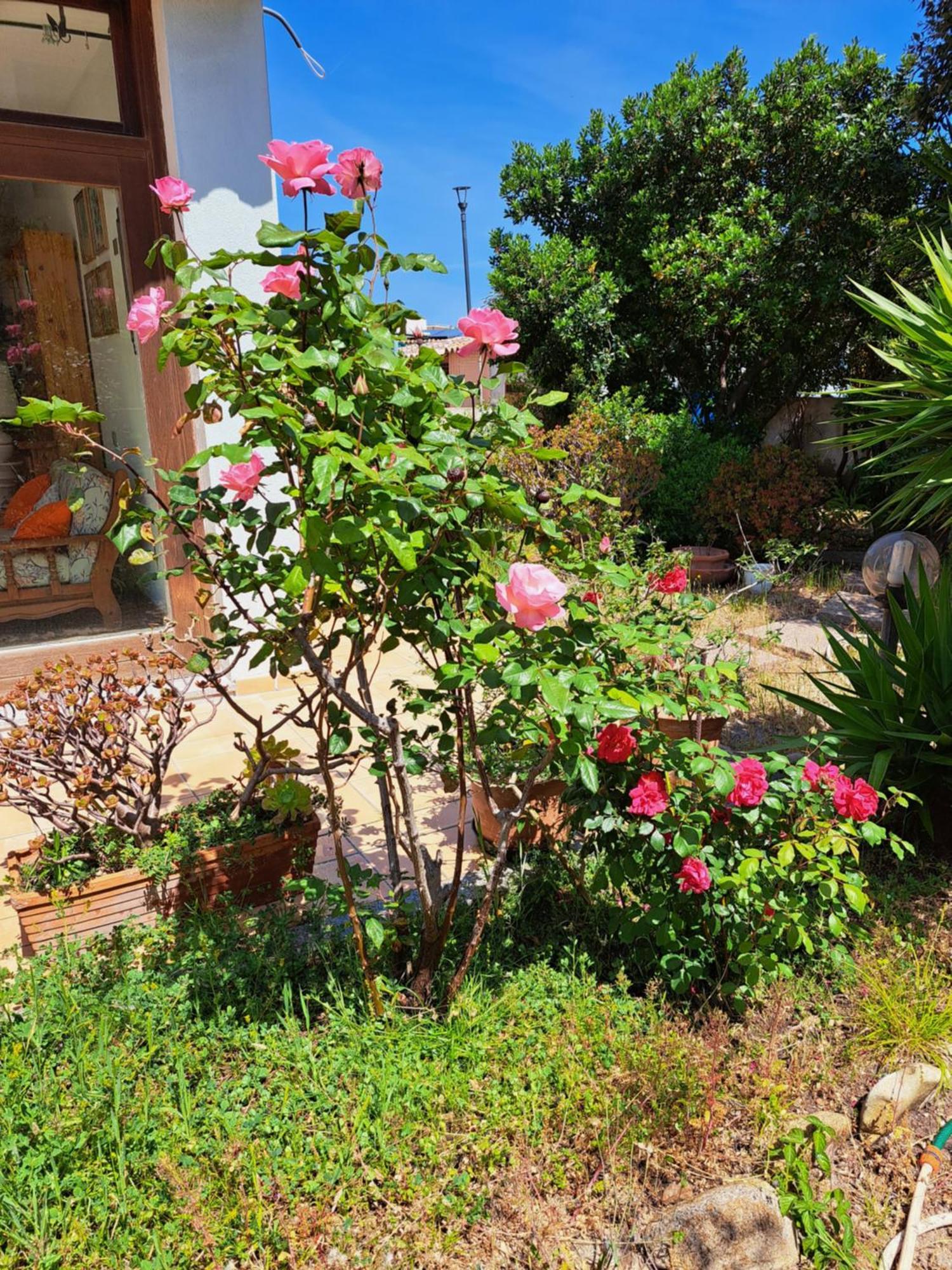 Bed and Breakfast Casa Di Paolo E Roberta Santa Teresa Gallura Zewnętrze zdjęcie