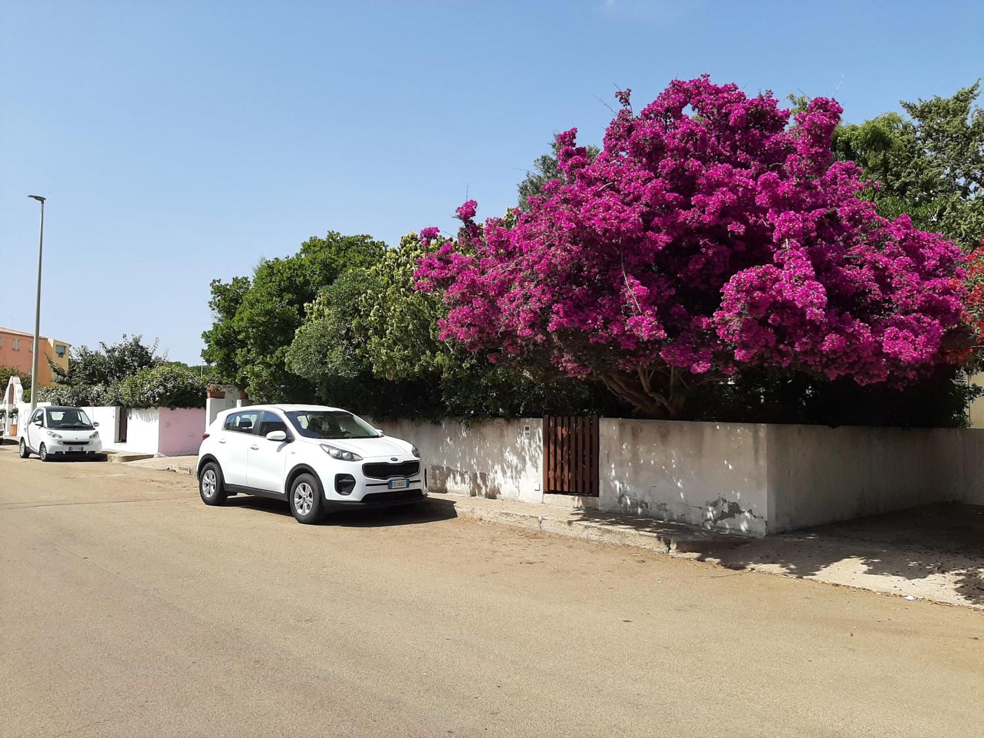 Bed and Breakfast Casa Di Paolo E Roberta Santa Teresa Gallura Zewnętrze zdjęcie
