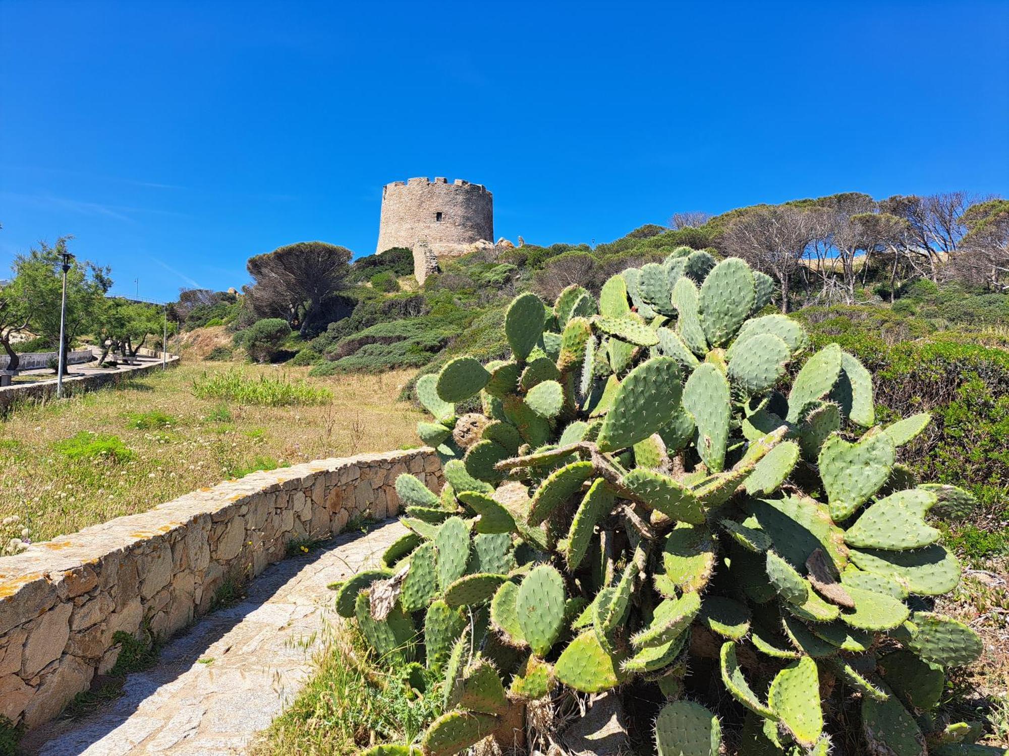 Bed and Breakfast Casa Di Paolo E Roberta Santa Teresa Gallura Zewnętrze zdjęcie