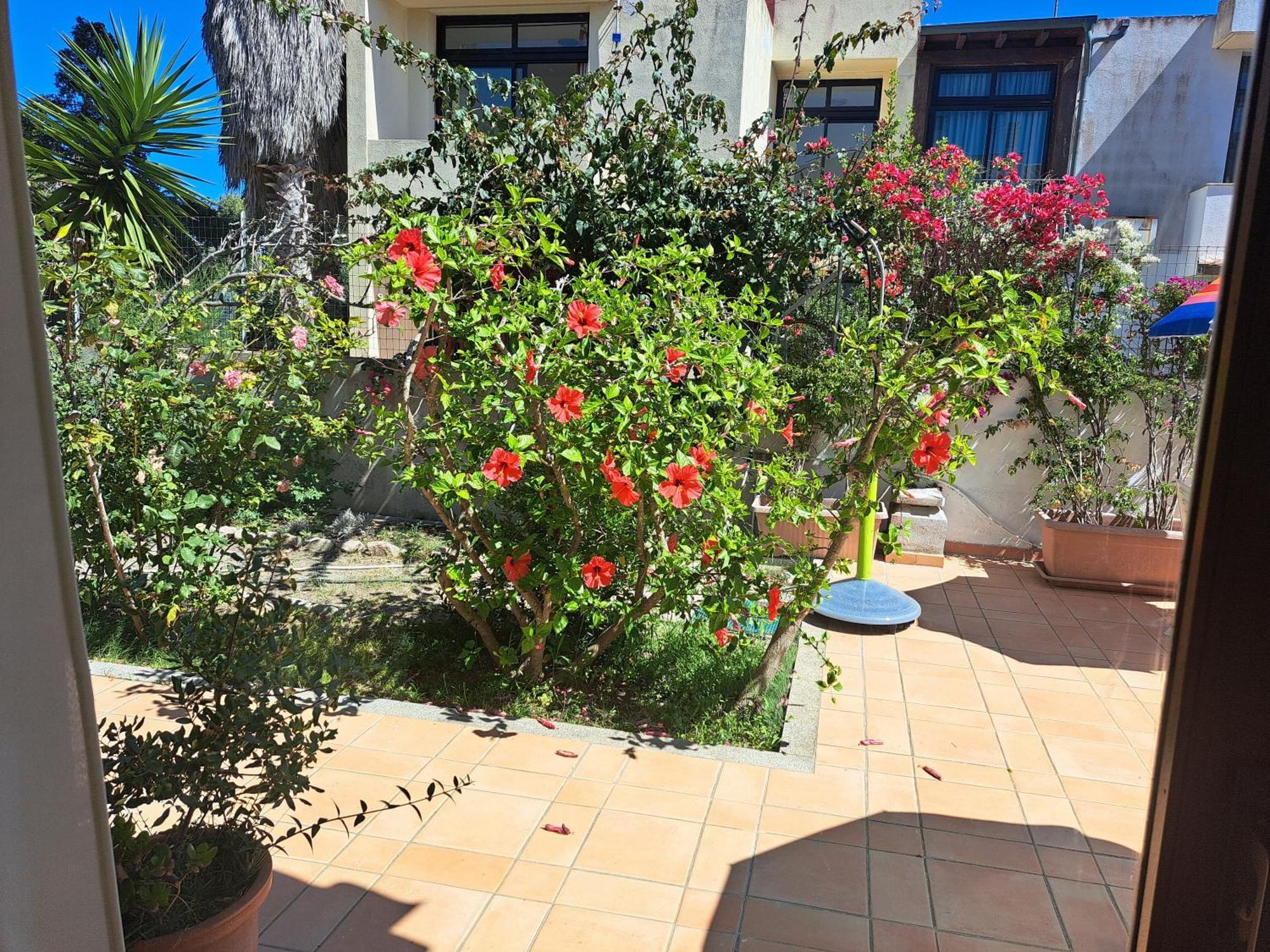 Bed and Breakfast Casa Di Paolo E Roberta Santa Teresa Gallura Zewnętrze zdjęcie